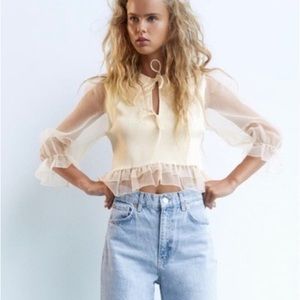 Zara Organza Knit Mixed Media Ruffle Blouse Top